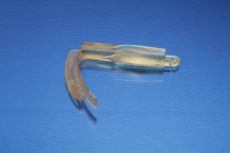 Formlabs F3 Resin BioMed Amber Medical 1L (RS-F2-BMAM-01)