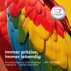 xTool Apparel Printer Versatile Bundle